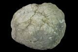 Keokuk Geode with Calcite Crystals - Missouri #135664-1